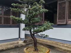 -蔡元培故居
