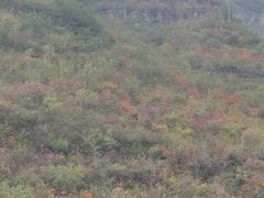 -狼牙山风景区