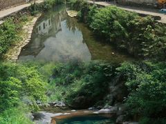-小乡小镇·传承桐庐土菜·老板亲自烧的菜