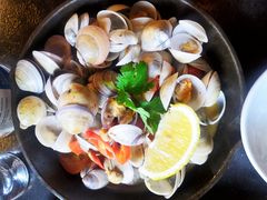 -Boxing Cat Brewery拳击猫精酿啤酒馆(永福店)