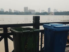 -海珠湖公园