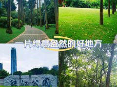 -广州珠江公园