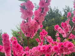 -朝阳公园