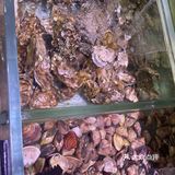 永辉超市仓储会员店