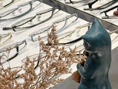 -大视家眼镜(园区星海店)