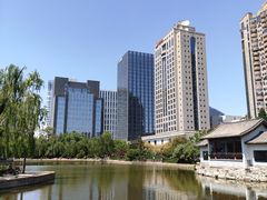 -团结湖公园