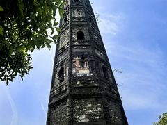 -上海佘山国家森林公园天马山园