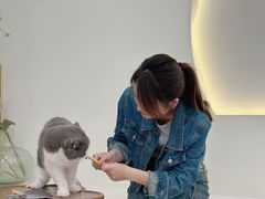 -共舞时光猫咖·狗咖(新街口店)