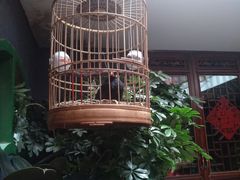 -北京阅微庄四合院文化特色酒店