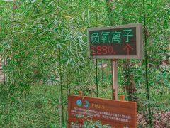 -同里国家湿地公园