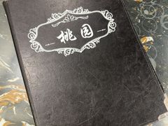 -桃园中华料理炸酱面(燕儿岛路店)