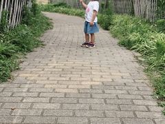 -龙寺生态园