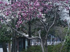 -玄武湖景区-情侣园游乐场