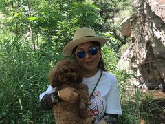 -碓臼峪自然风景区