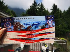 -白草畔自然风景区