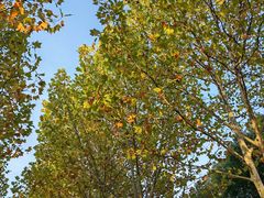 -渡江战役纪念馆