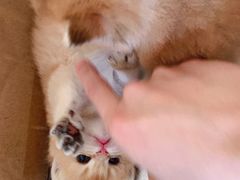 -安安宠医·安宠宠物医院