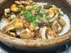 -红星光发煲仔饭(大石街店)