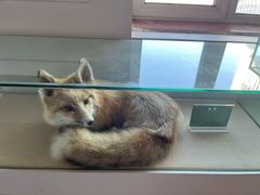 -洮儿河国家湿地公园