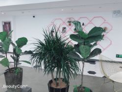 点击看大图 -MOKA HAIR SALON 烫染造型