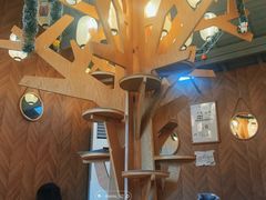 -MOCHA明星猫咖(田子坊店)