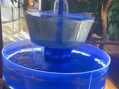 -佬麻雀·剁椒鱼头(京基KK One店)