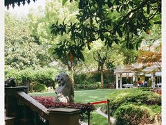 -马勒别墅·中餐厅