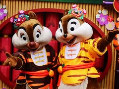 -IL paperino帕帕里诺冰激凌