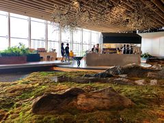 -Seesaw Coffee(朝阳大悦城店)