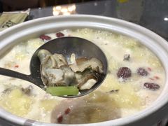 甲鱼生蚝土鸡煲-金龙·打边炉(武进路店)
