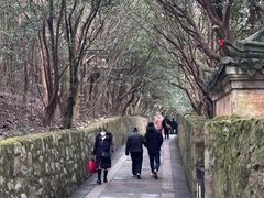-普陀山风景区-佛顶山
