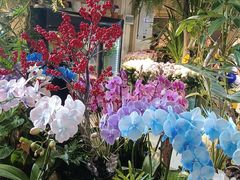 -光启城时尚购物中心