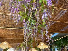 -老号尤兔头(幸福店)