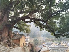 -杨家堂村