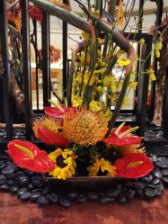 -青青一生美皮肤管理