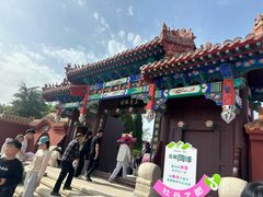 -曹州牡丹园