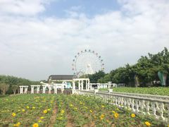 -广州花之恋城堡酒店