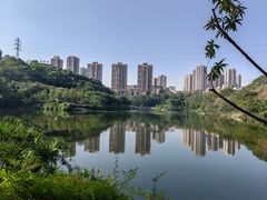 -重庆彩云湖湿地公园