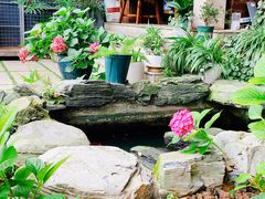 -谷咖啡·鲜花绿植花园餐厅