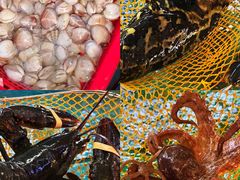 -坛南湾阿强农家乐.海鲜大排档老字号(福州地标美食店)