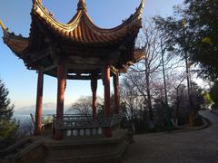 -元谋浪巴铺土林景区