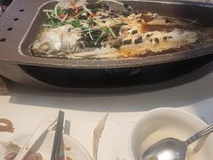 -翠华餐厅(维璟印象城店)