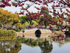 -无锡蠡湖国家湿地公园-蠡园