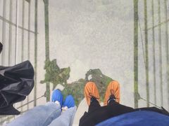 -南丹山森林王国