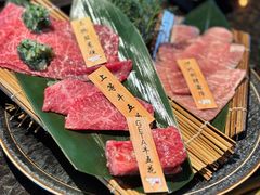 -老乾杯(深圳湾万象城店)