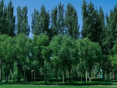 -亿利库布其七星湖沙漠生态旅游区