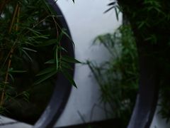 -重庆园博园