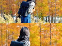 -白鹭湾湿地公园