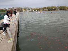 -廊坊文化艺术中心