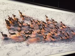 -罗红摄影艺术馆